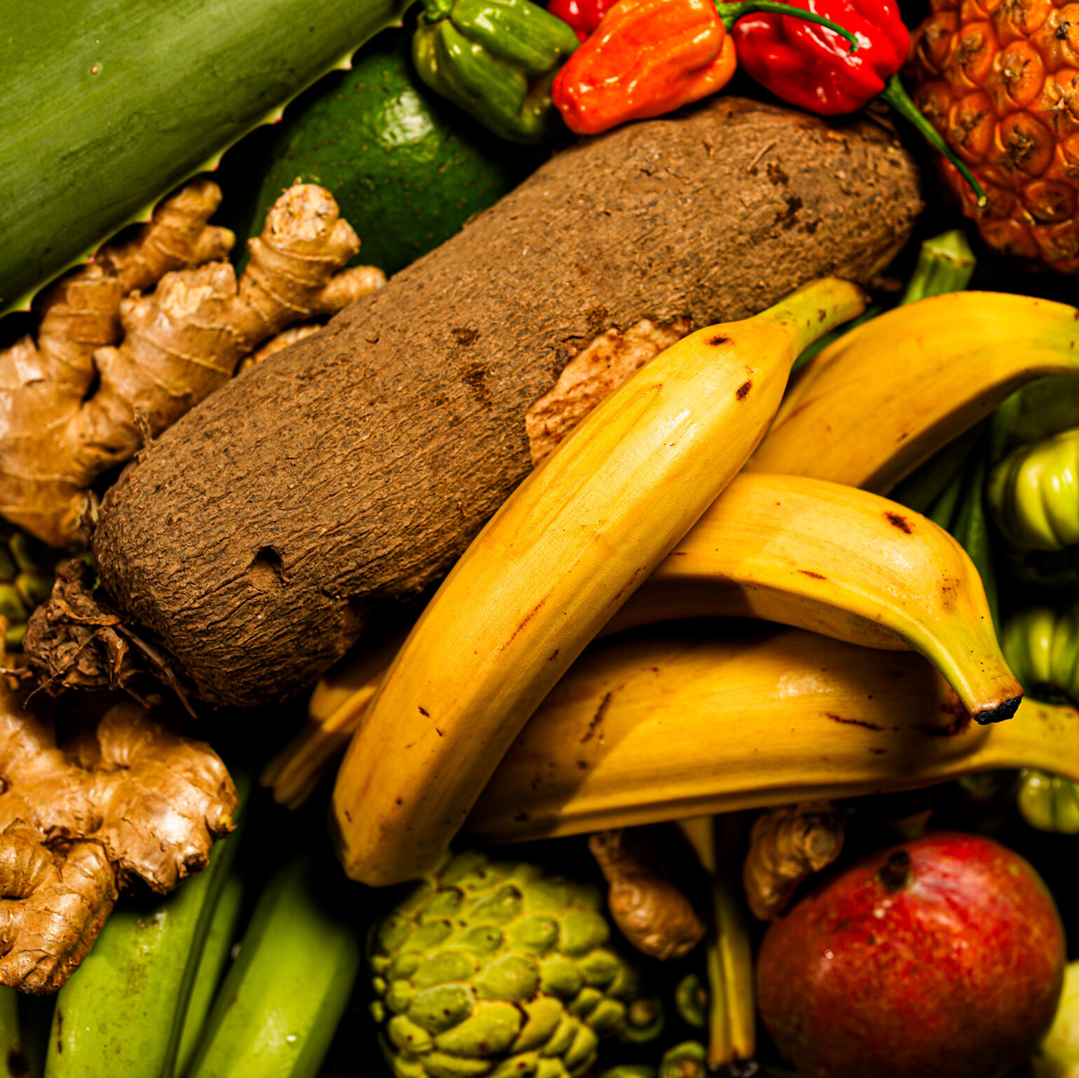 grossiste fruits et légumes exotiques