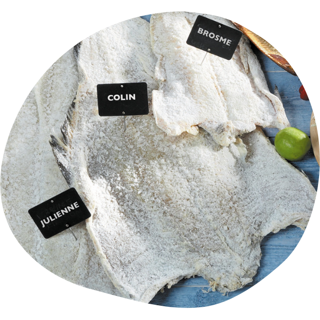 Grossiste poisson exotique